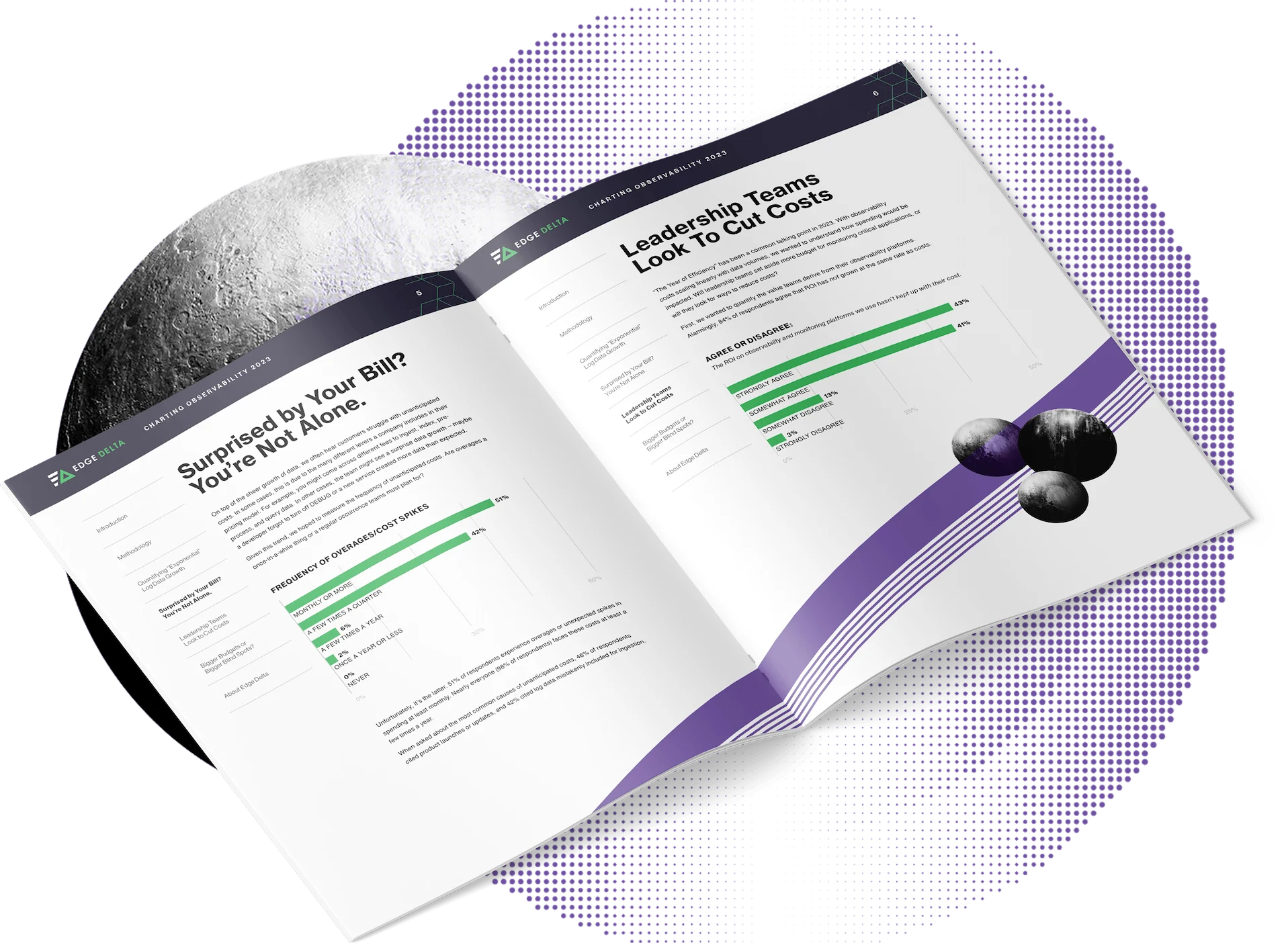 Edge Delta - Report Interior Mockup Graphic
