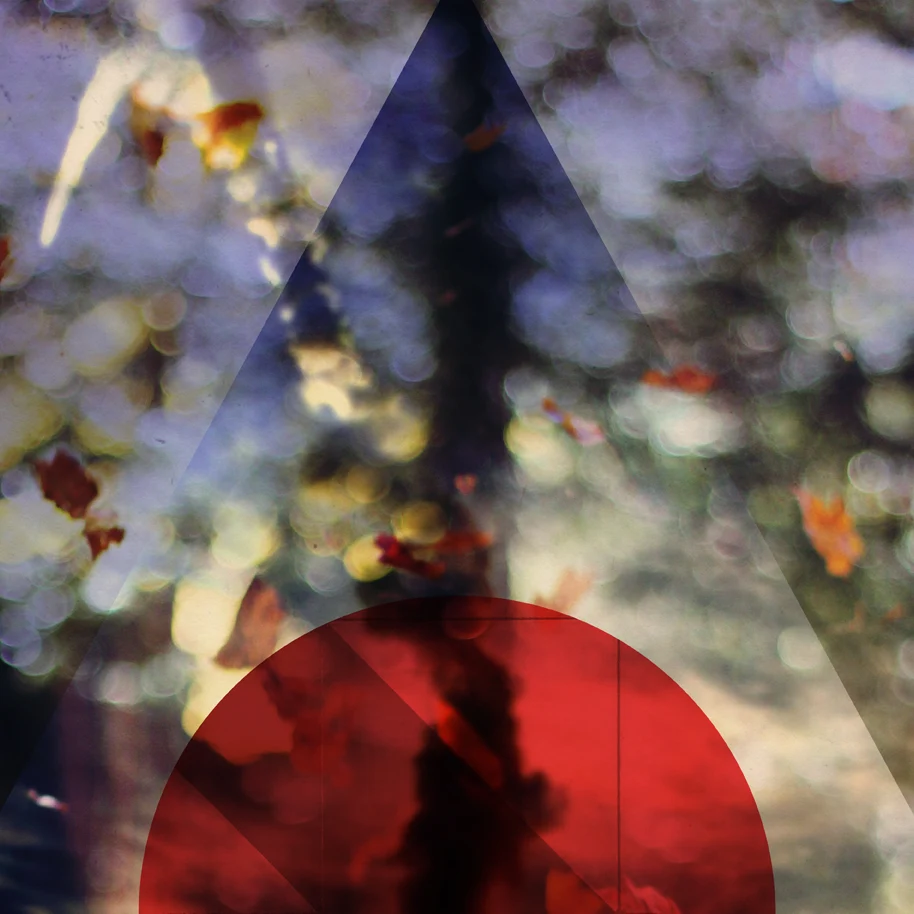 Silver off the Vine by Black River Union - Back art detail, featuring an abstract collage illustration with geometric shapes and a space shuttle launch.